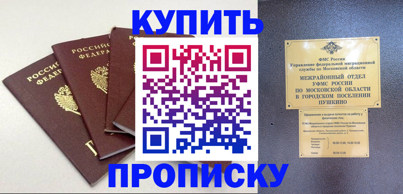 временная регистрация собственник в Щёлкино